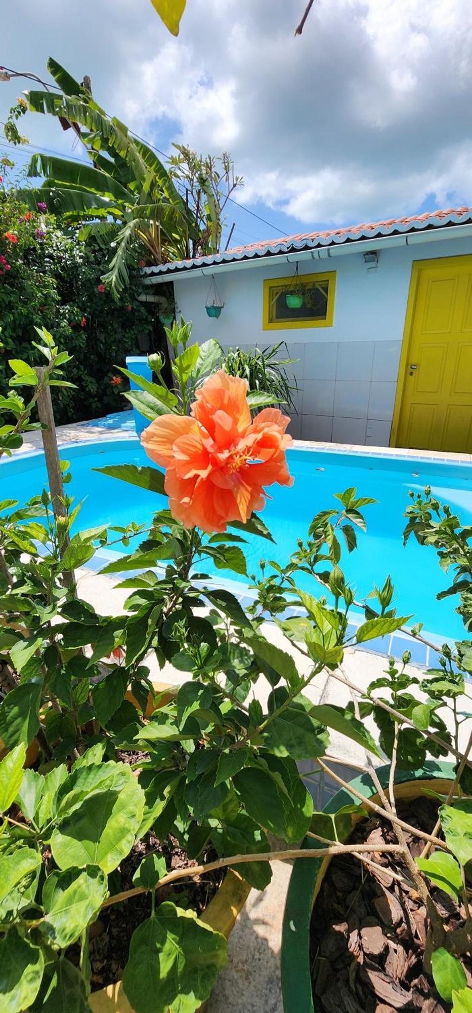 Mandala Dreams Pousada E Portal Holistico Maceio  Bagian luar foto