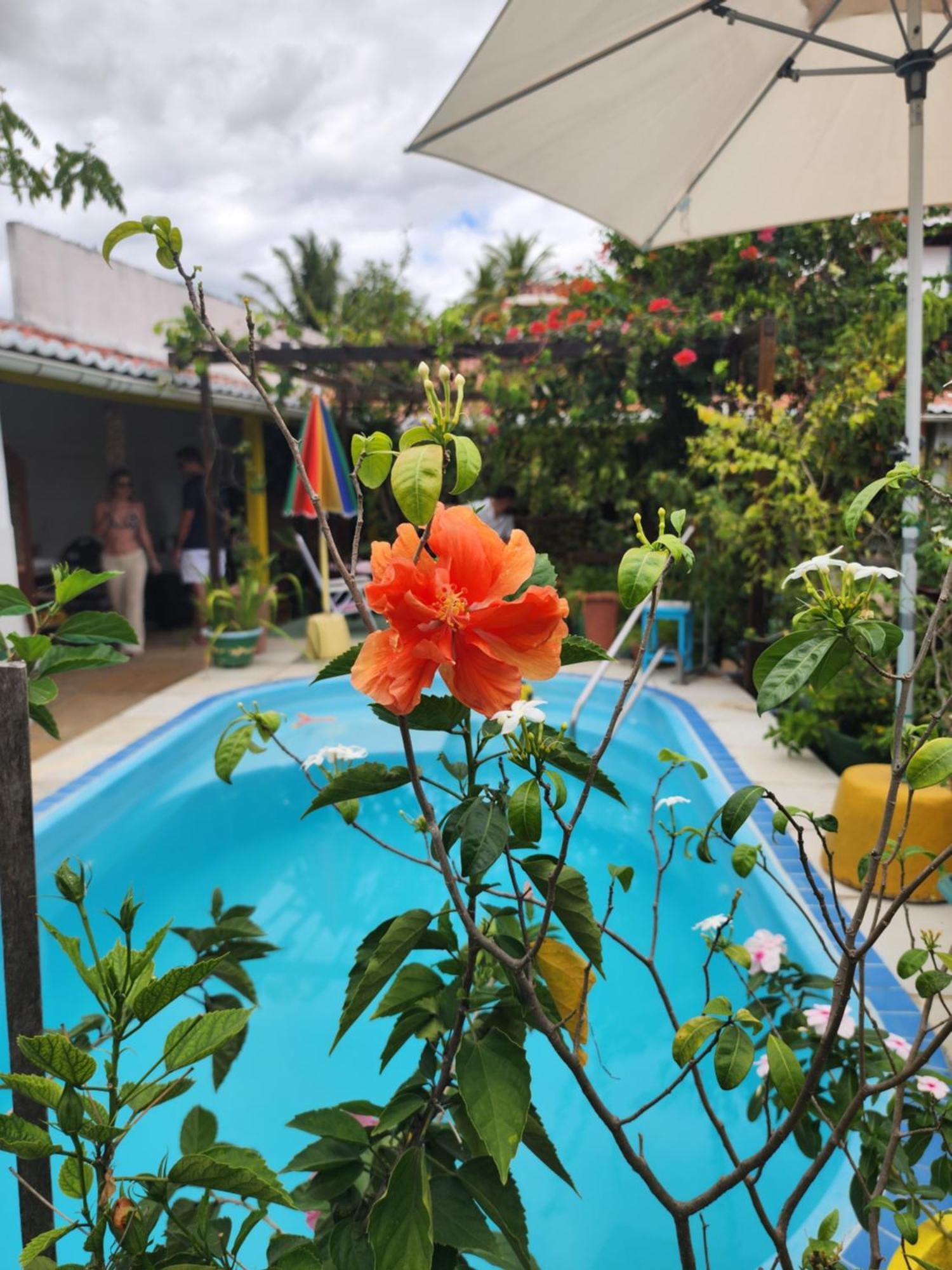 Mandala Dreams Pousada E Portal Holistico Maceio  Bagian luar foto